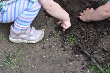 Dışarıda çamurda oynayan yeni yürümeye başlayan çocukların yakın çekimleri. Çizgili taytlı çocuk parkta çim ve toprağı keşfediyor..