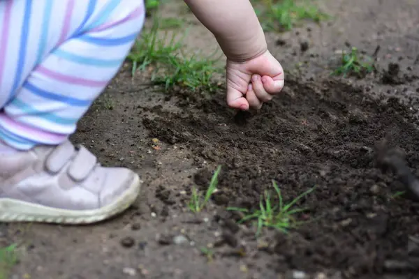 Çizgili taytlı bir çocuk parkta oynarken el pençe divan durup toprağı kazıyor..