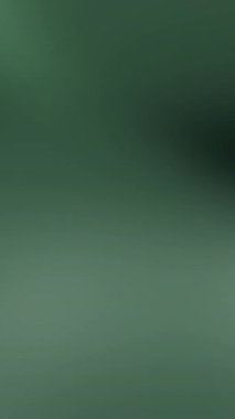 Koyu Yeşil Gradyan Arkaplan İnternet sitesi afişleri, sosyal medya paylaşımları ve daha fazlası için mükemmel. Yumuşak, akışkan tasarım modern bir duygu ile.