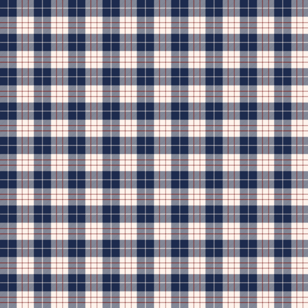 Zamansız tekstil tasarımı ve kumaş projeleri için klasik lacivert ve beyaz tartan deseni