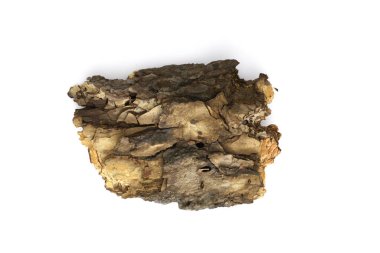 Beyaz arka planda çam kabuğu parçaları, doğal kabuk dokusu.