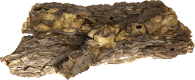 Çam kabuğu parçaları, doğal ağaç kabuğu dokusu.