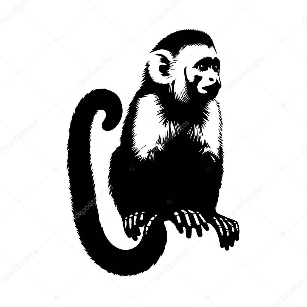 Black and white illustration of a squirrel monkey sitting