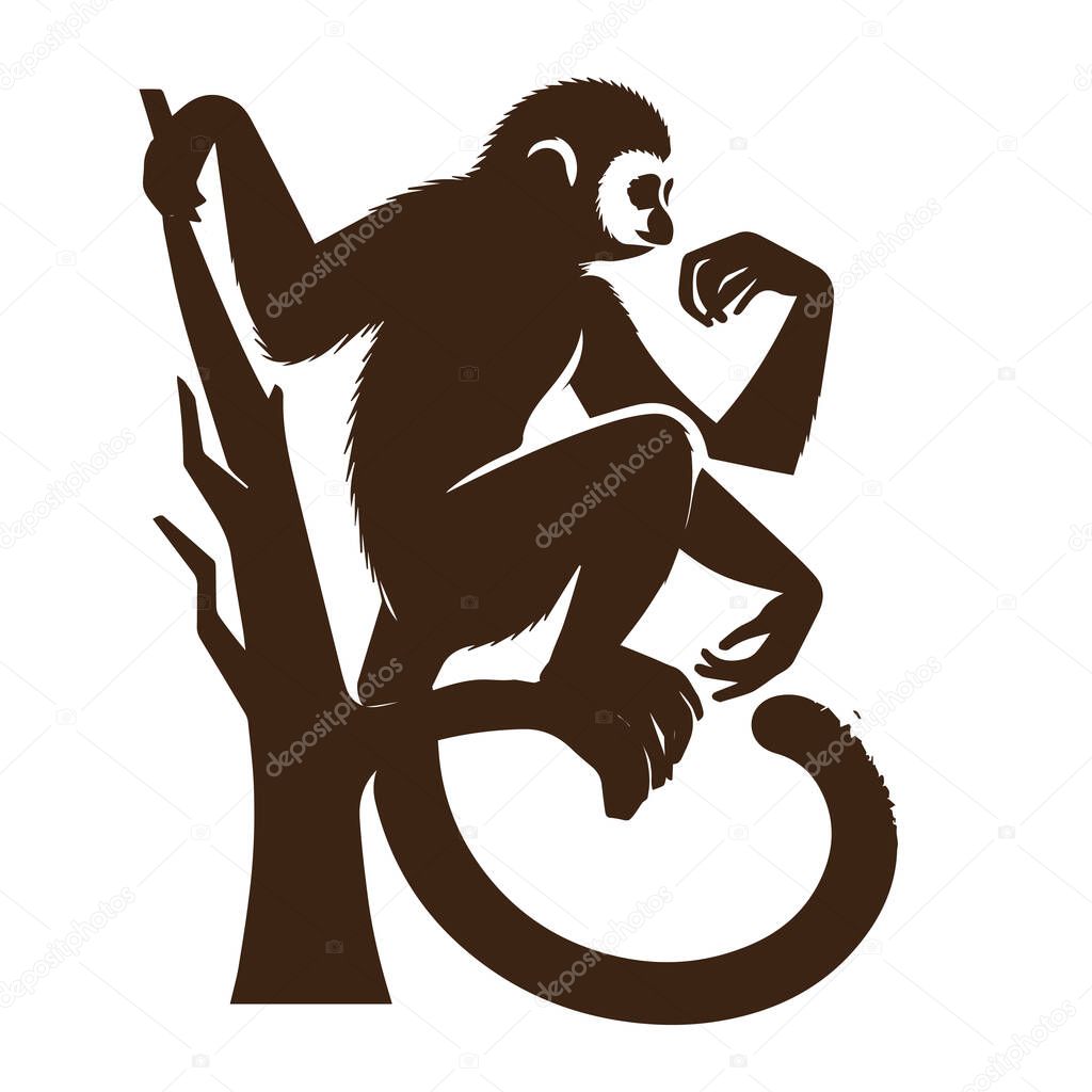 Silhouette of a gibbon monkey sitting on a tree branch
