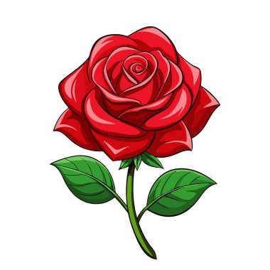 Yeşil yapraklı tek kırmızı gül.