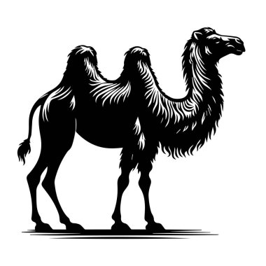 Maske takan dost canlısı çizgi film doktoru.