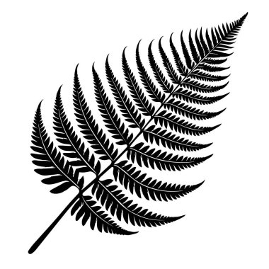 Siyah eğreltiotu yaprağının silüeti ve beyaz arka planda ayrıntılı pinüller.