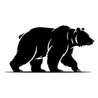 Beyaz bir arka planda izole edilmiş bir ayı silueti içinde yürüyor..