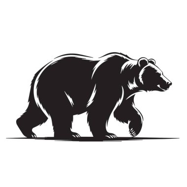 Bir ayı yürüyor, beyaz bir arkaplana karşı siluet içinde.