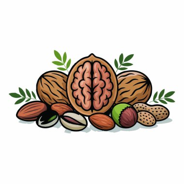 Ceviz, badem, şam fıstığı, fıstık ve fındık da dahil olmak üzere çeşitli fındıklar..