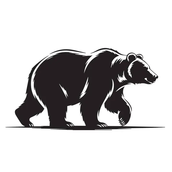 Bir ayı yürüyor, beyaz bir arkaplana karşı siluet içinde.