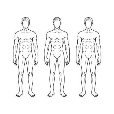 Baştan aşağı kaslı fiziği olan üç stilize erkek figürü.