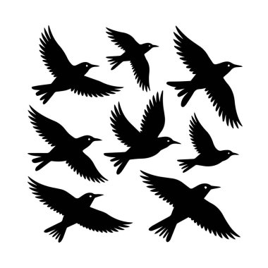Beyaz arka planda uçuşan siyah kuş siluetleri koleksiyonu