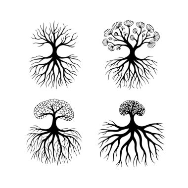 Beyaz arka planda belirgin kökleri olan dört siyah beyaz ağaç.