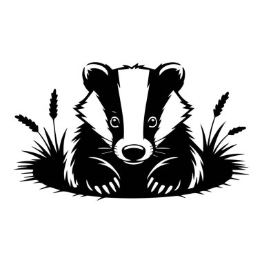 Çalı kuyruklu bir kokarcanın siyah beyaz çizimi.