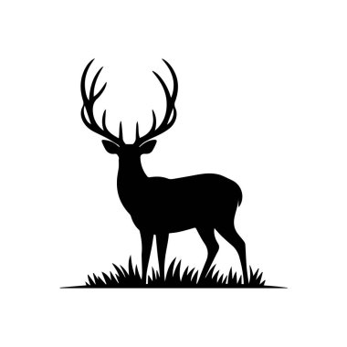 Çalı kuyruklu bir kokarcanın siyah beyaz çizimi.