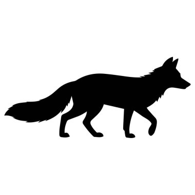 Çalı kuyruklu bir kokarcanın siyah beyaz çizimi.