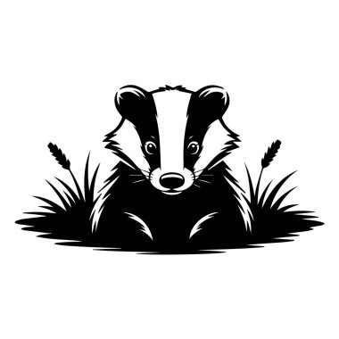 Çalı kuyruklu bir kokarcanın siyah beyaz çizimi.