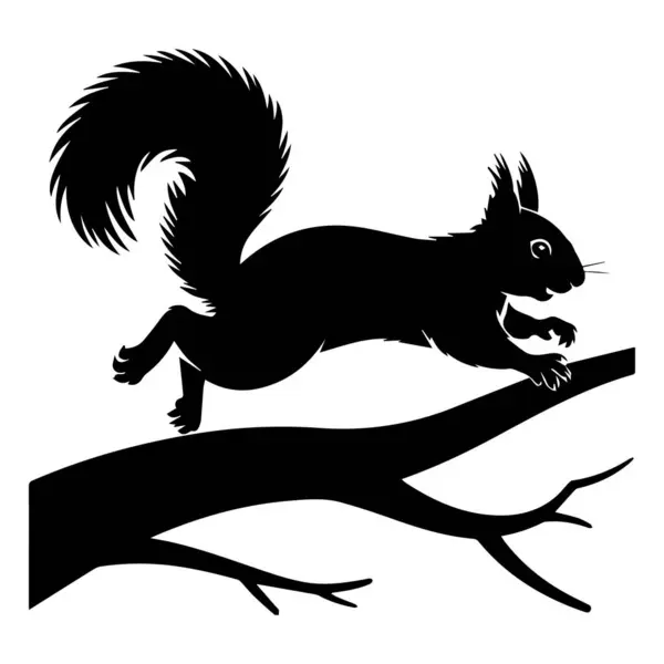 Çalı kuyruklu bir kokarcanın siyah beyaz çizimi.