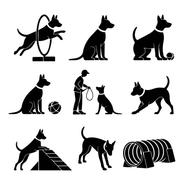 Siluetli köpek koleksiyonu. Eğitmenle çeviklik alıştırmaları ve numaralar yapıyorlar.