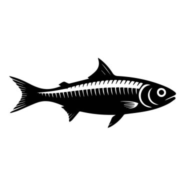 Siyah-beyaz-balığın-iskeleti-beyaz-arka planda-görünümü