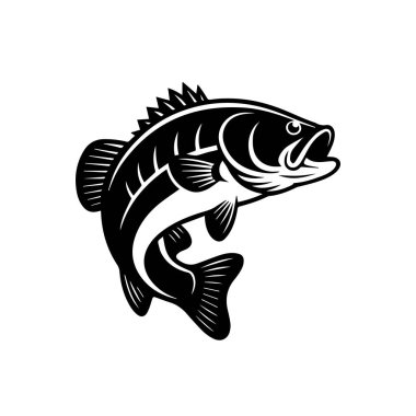 Siyah-beyaz-büyük-ağız-levrek-atlayışı.