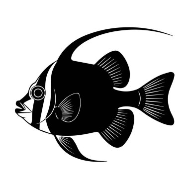 Siyah-beyaz-moorish-idol-balığının-resmi