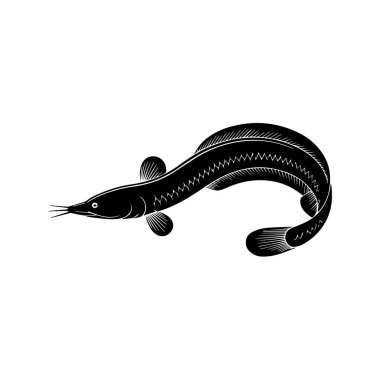 Kıvrık kuyruklu bir semenderin siyah-beyaz çizimi