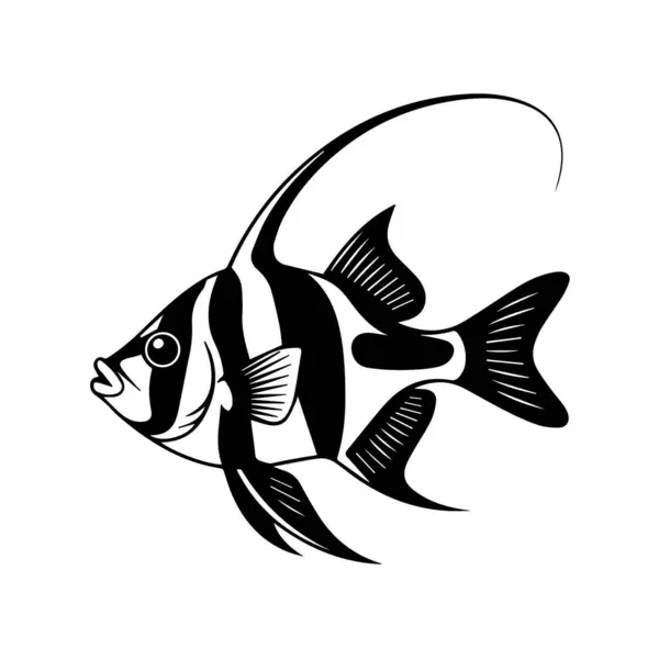 Siyah-beyaz-çizgili-melek-balığı çizimi