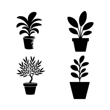 Karmaşık yapraklar ve çeşitli tasarım uygulamaları için uygun sağlam bir gövde içeren tek ve güzel yapılmış bir bitki çizimi..