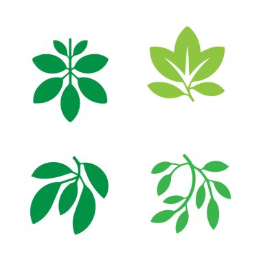 Her biri beyaz bir zemin üzerinde vektör simgesi olarak sunulan, doğayı ve organik elementleri sembolize eden dört stilize edilmiş yeşil yaprak tasarımı..