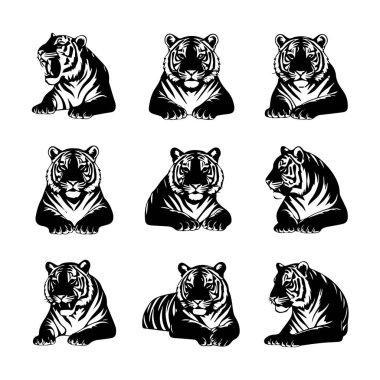 Kaplanların dokuz detaylı siyah beyaz çizelgesi, her biri eşsiz bir poz ve anlamlı yüz hatları sergiliyor..