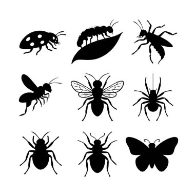 Bir uğur böceği, karınca, örümcek, arı ve kelebeğin yer aldığı dokuz adet siyah siluet çizimi, temiz beyaz bir arkaplanda sunuluyor..