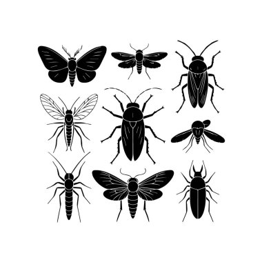 Beyaz ve siyah dokuz farklı resimden oluşan bir ızgara, çeşitli böcekler, güveler, böcekler ve sinekler, klasik tarzda sunuluyor..