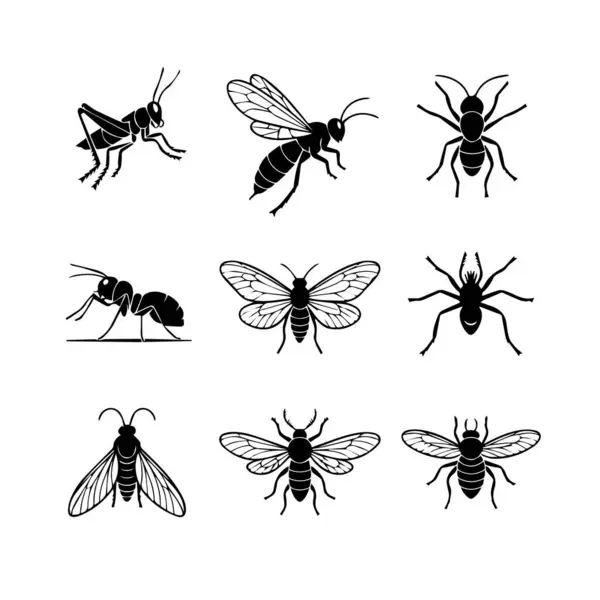 Dokuz detaylı, stilize edilmiş siyah beyaz çizimler klasik bir estetik içinde çeşitli böcek ve örümcekleri gösteriyor..