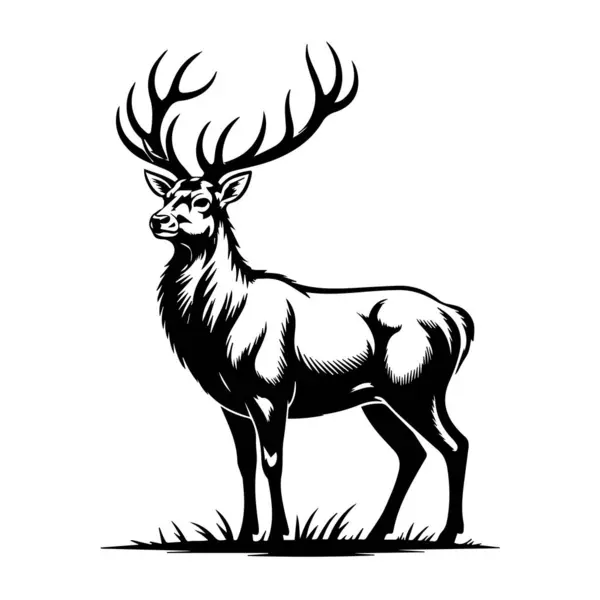 Büyük boynuzları olan güçlü bir geyiğin detaylı siyah-beyaz çizimi bir çimen tarlasında tetikte bekliyor..