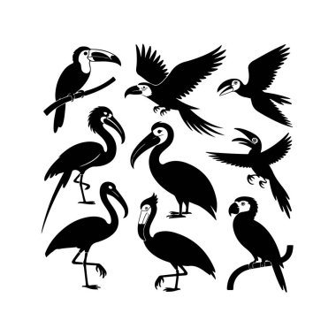 Beyaz arkaplandaki siyah kuş siluetlerinden oluşan çeşitli bir koleksiyon farklı pozlarda ve uçuşlarda çeşitli türleri gösteriyor..