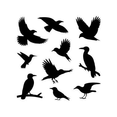 Birden fazla siyah kuş siluetinin yer aldığı grafik tasarımı uçmak, dallara tünemek ve uçuşun ortasında farklı hareketler sergiliyor..