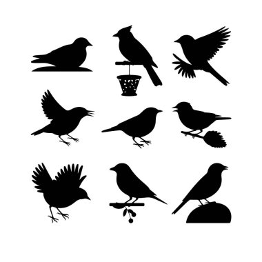 Beyaz arka planda dokuz farklı siyah kuş siluetinin yer aldığı grafik tasarımı, farklı türler ve davranışlar sergiliyor..