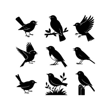 Kuşların dokuz farklı siyah siluet çiziminden oluşan bir koleksiyon. Her kuş kendine has bir pozla tasvir edilir, doğal davranışlarını ve biçimlerini sergiler..