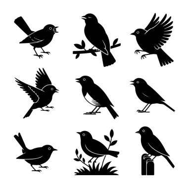 Dokuz farklı siyah siluet içeren grafik tasarım küçük kuşlar, uçan, tünemiş ve ayakta yakalandı.