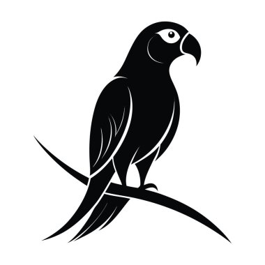 Ayrıntılı tüyleri olan çarpıcı siyah bir papağan silueti beyaz bir arka planda kıvrımlı bir dalda zevkle oturur..