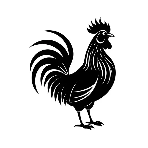 Bir horozun çarpıcı siyah beyaz çizgileri, tüylerinin ve tarağının detaylı tasviri ve kalın çizgileriyle....