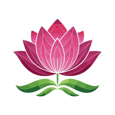 Zarif beyaz çizgileri ve köklerinde yemyeşil yaprakları olan çiçek açan pembe nilüfer çiçeğinin güzel, ayrıntılı bir çizimi..