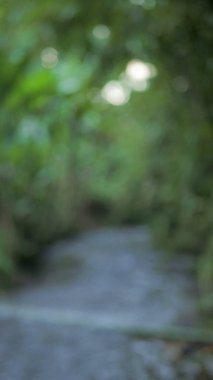 Bokeh efektli bulanık arkaplan, soyut arkaplan.