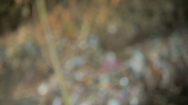 Bulanık arkaplan, soyut arkaplan