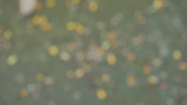 Renkli noktalı bulanık fotoğraf