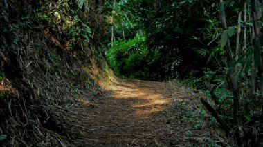 Doğanın güzel manzarası