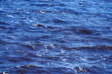 Peggy 'nin Koyu, Nova Scotia, Kanada, 28 Nisan 2025: Okyanus dalgaları.