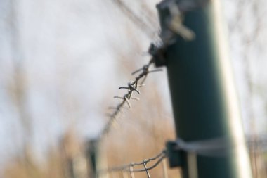 Dış çitlerin dikenli tellerine yakın plan, aşırı sığ alan derinliği, tek dikenli dikenlere keskin odak, ön planda bulanık metal direk ve yumuşak sonbahar renklerinde arka planda kaybolan çitler.